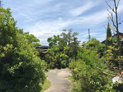 2017-06-13-11-54-49