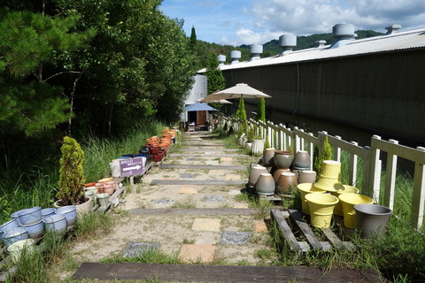 DSC03485