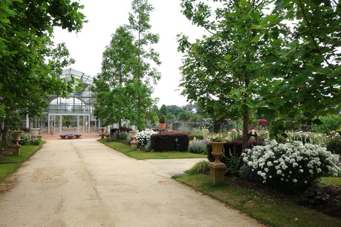 DSC06977