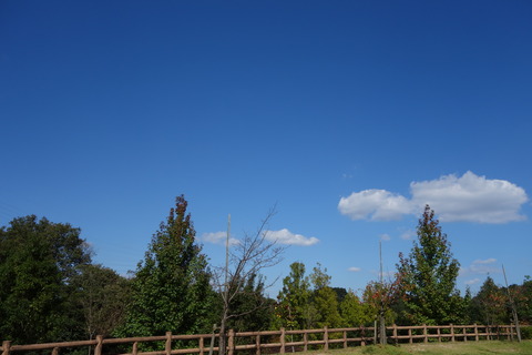 DSC04548