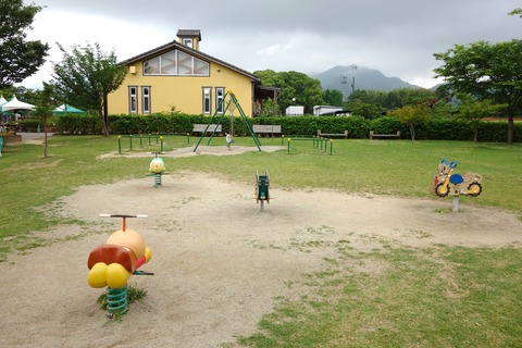 DSC06965