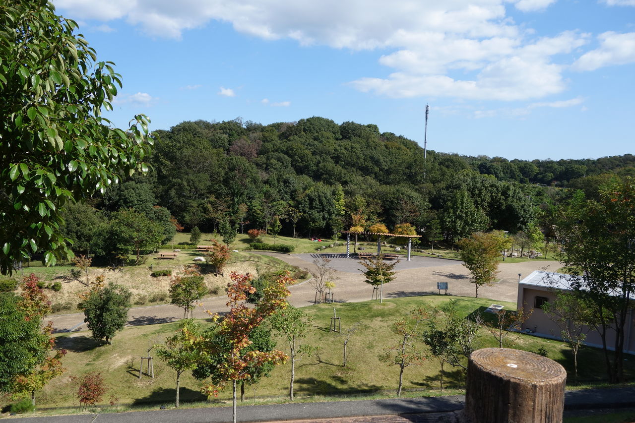 1日では遊びきれないほど大きな公園 南部丘陵公園 動物にも会えて 遊具も充実 三重県四日市 Pui Pui Pui 1日では遊びきれないほど大きな公園 南部丘陵公園 動物にも会えて 遊具も充実 三重県四日市 Pui Pui Pui