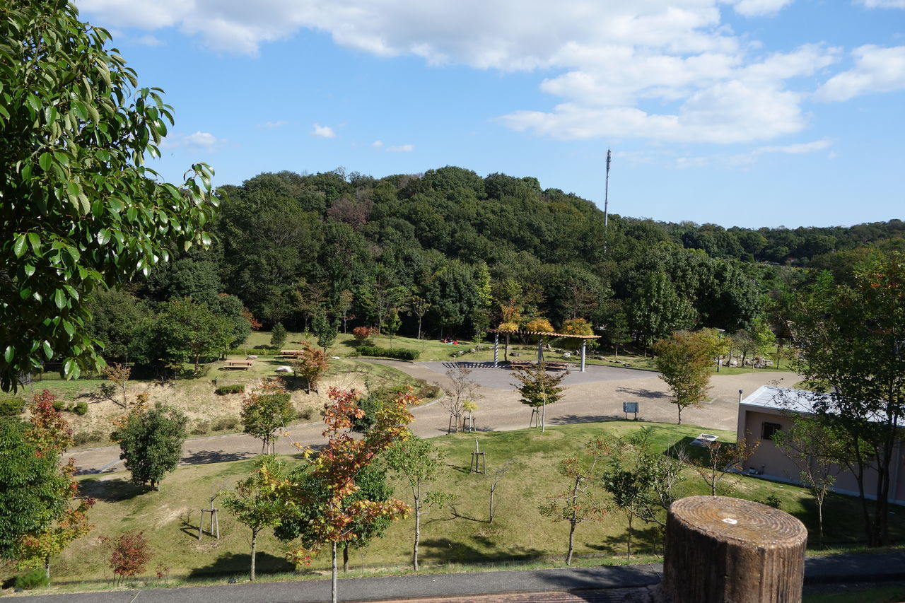 南部 丘陵 公園