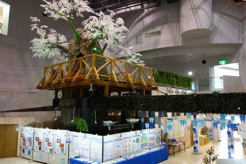 DSC03270