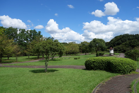 DSC03957