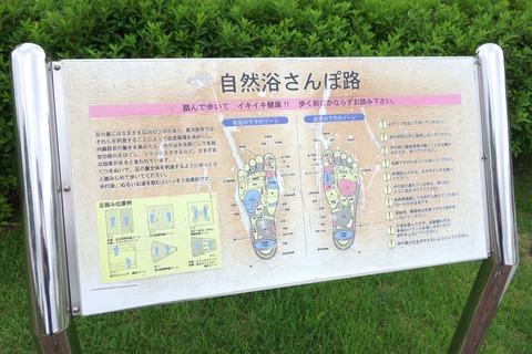 DSC07110