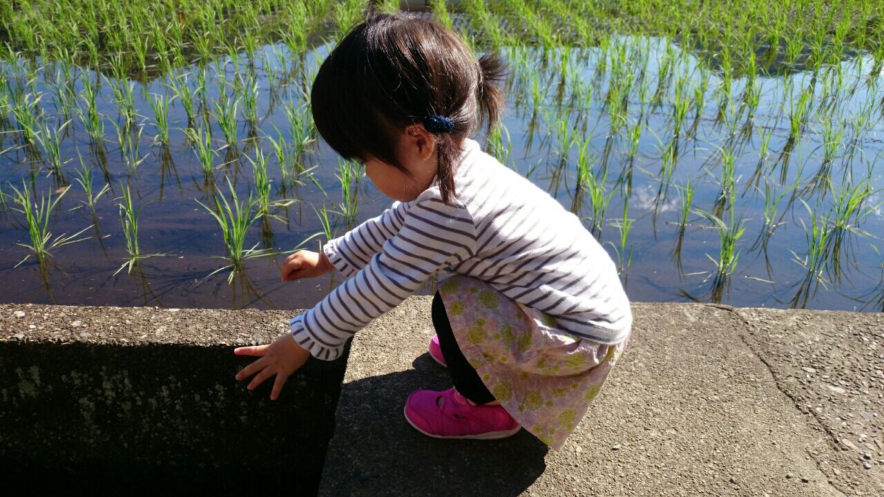 A Sunny Spot 女の子のまいにちの服 からキュロット Pui Pui Pui