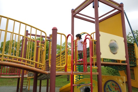 DSC07117