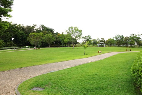 DSC07104