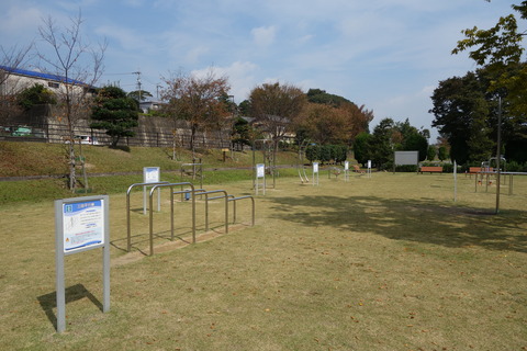DSC04633