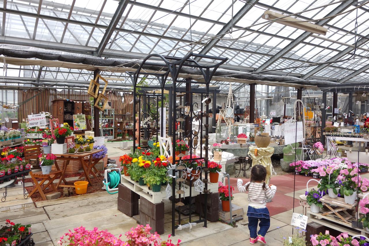 ガーデニングからギフト用まで抜群の品揃え 松阪フラワーセンター 雑貨類も充実 Pui Pui Pui