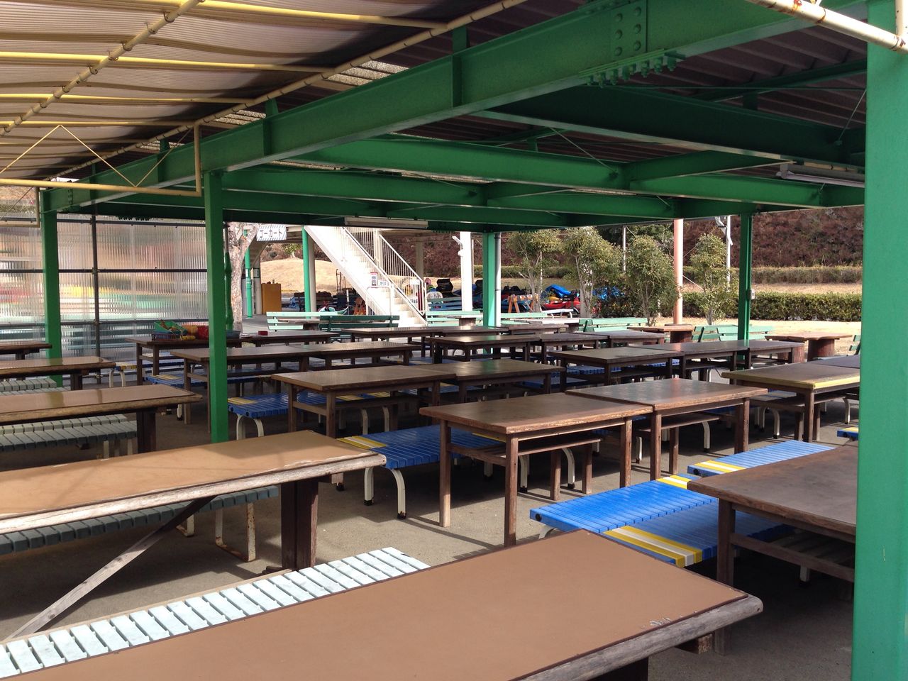 子どもの体づくりの最適 浜北森林アスレチックコース 浜松ブログ おすすめ観光 グルメを子供と遊ぶ