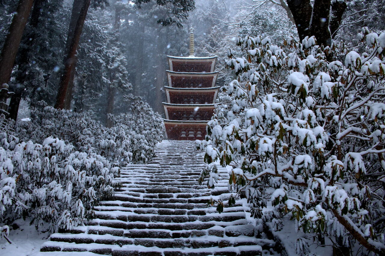 雪の室生寺 : 四季に恋して けいさんの写真日誌