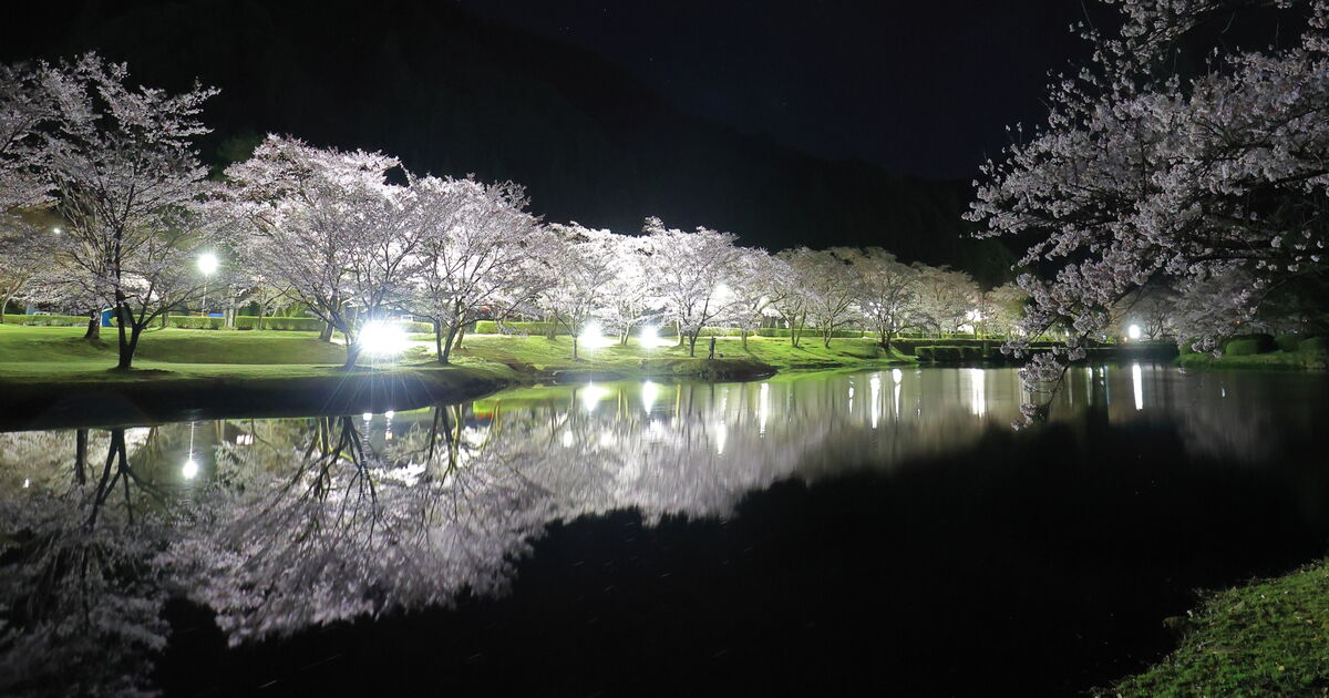 2023年09月 : 四季に恋して けいさんの写真日誌