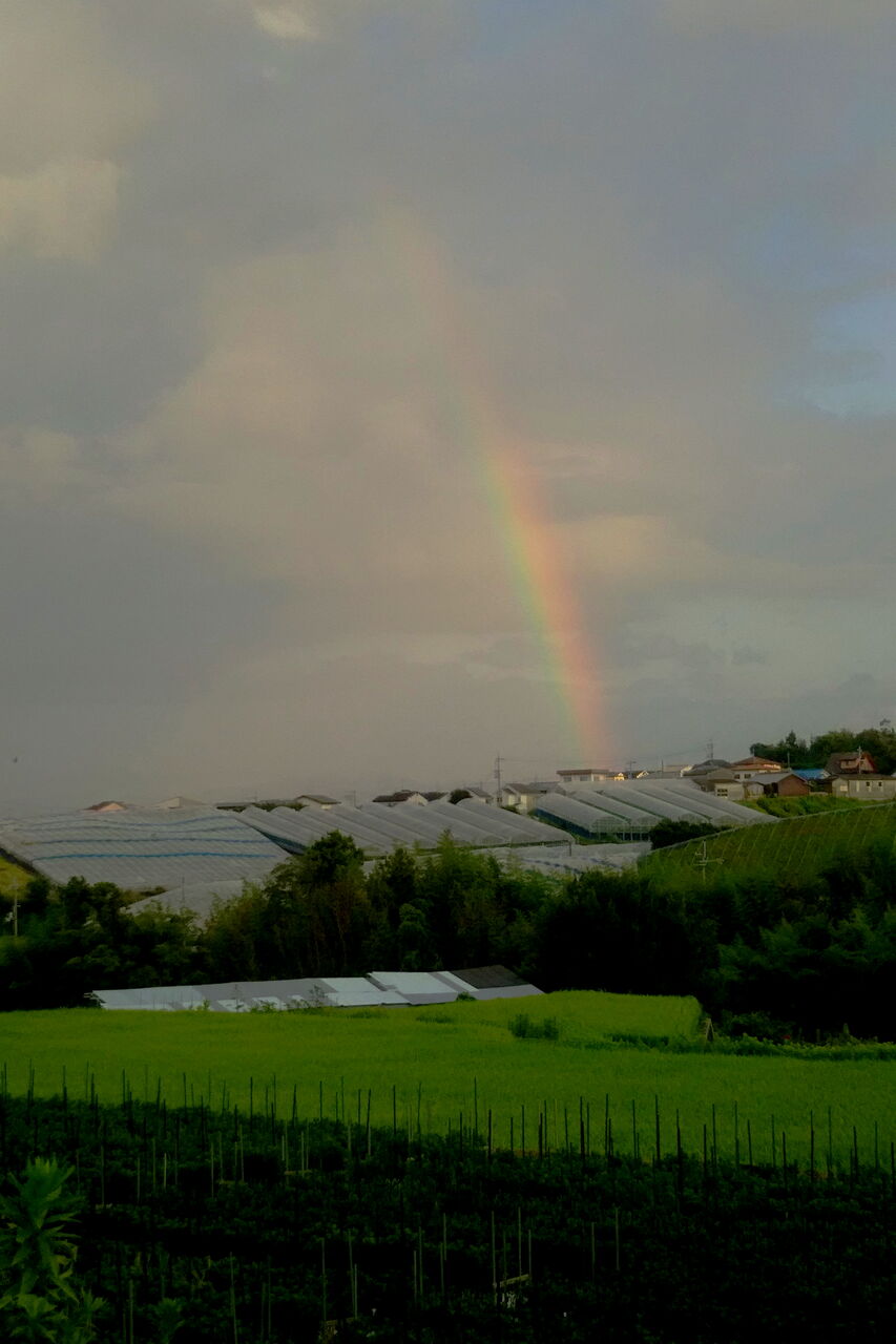 晩夏の夕空 四季に恋して けいさんの写真日誌