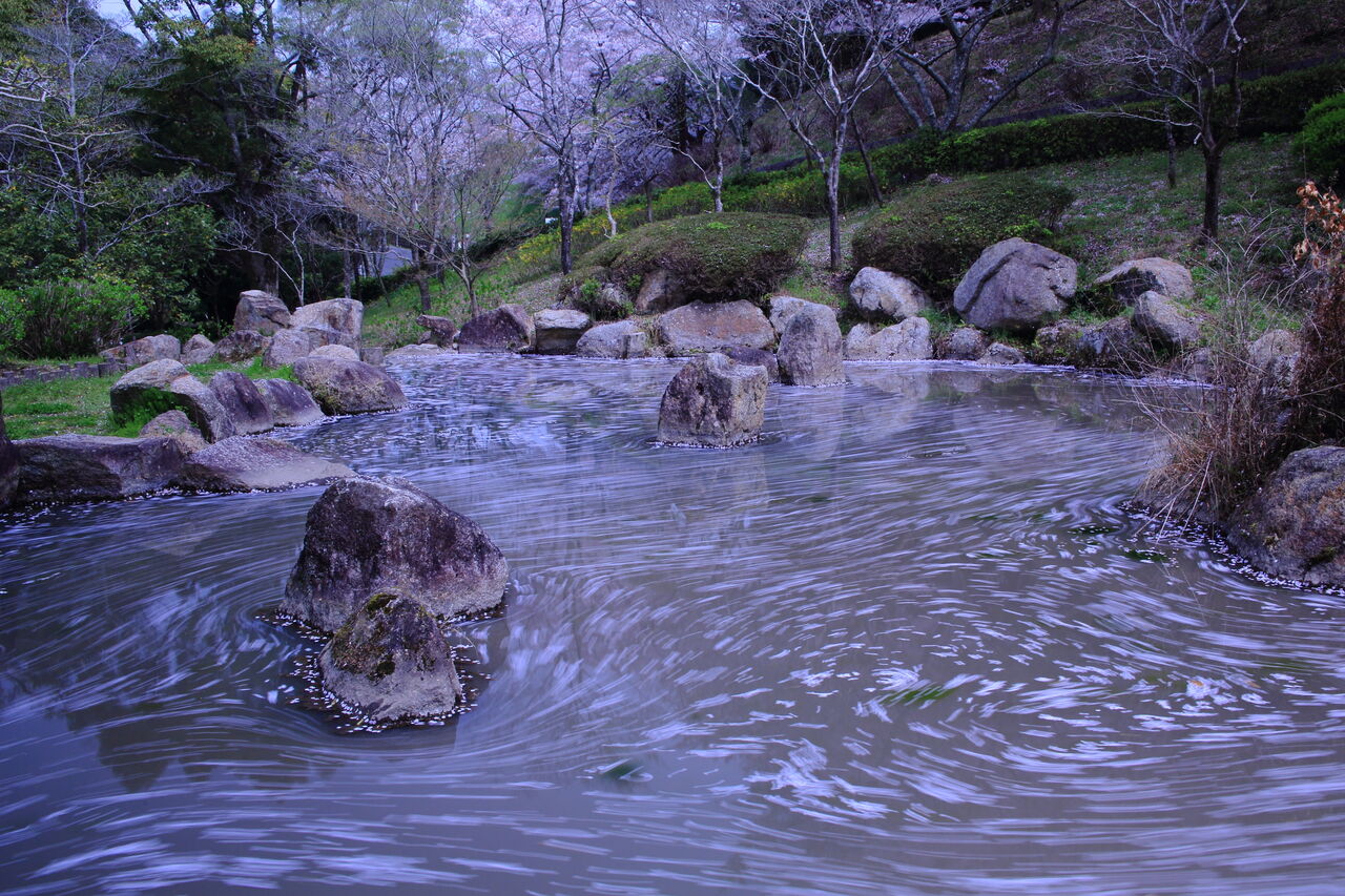 花筏三昧 : 四季に恋して けいさんの写真日誌