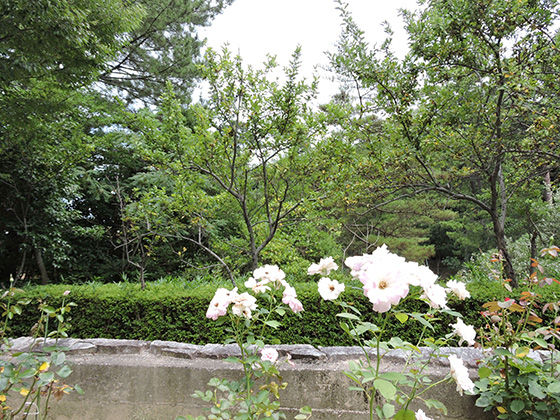 イメージ 12