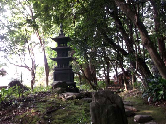 イメージ 14