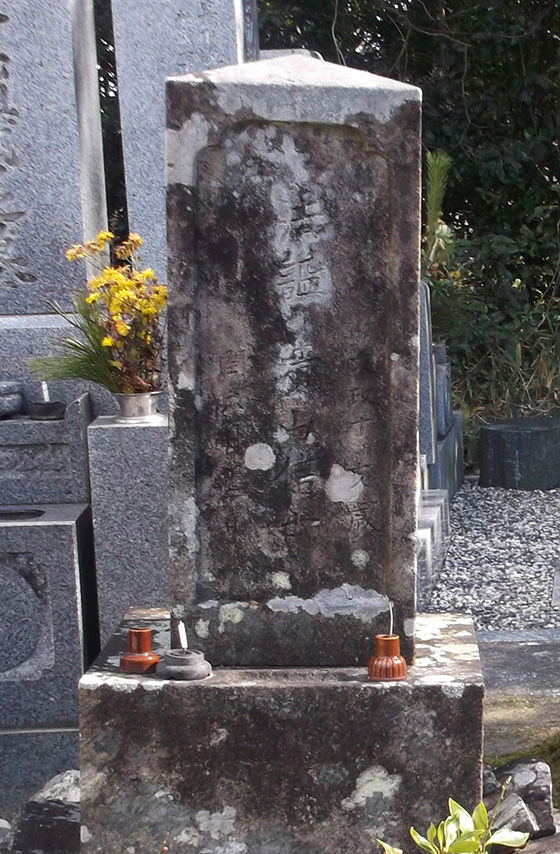 イメージ 5