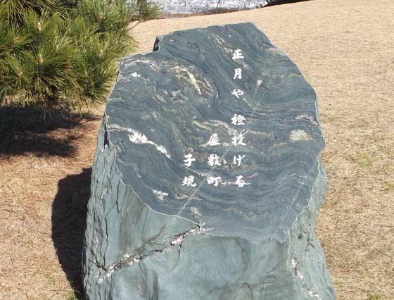 イメージ 8