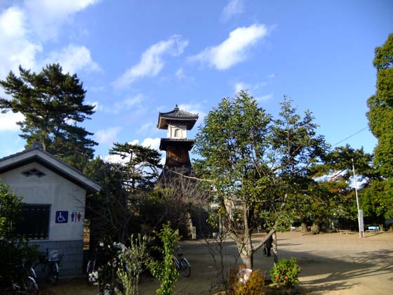 イメージ 5