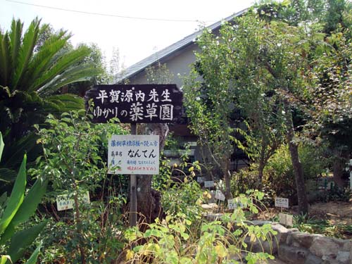 イメージ 6