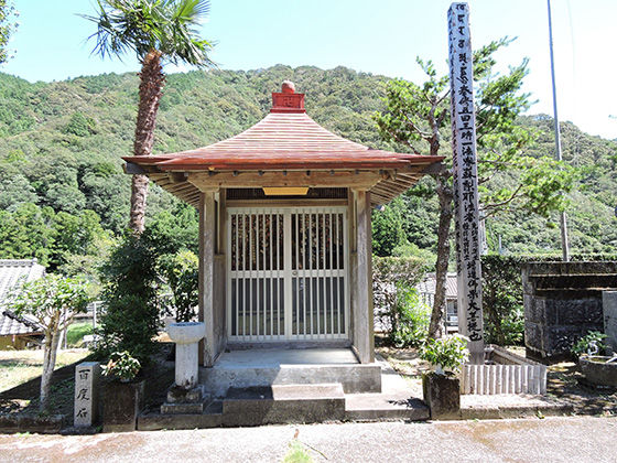 イメージ 7