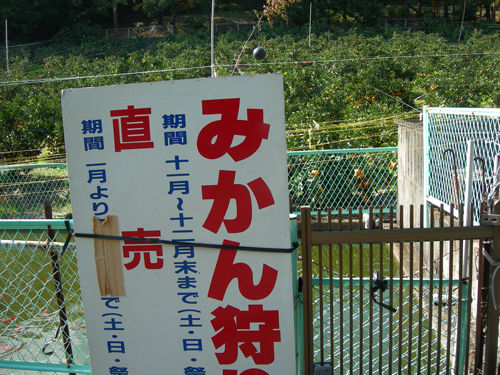 イメージ 6