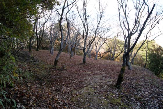 イメージ 4