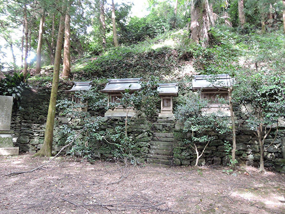 イメージ 14