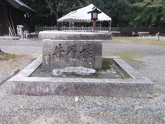 イメージ 13