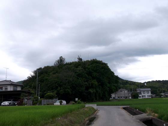 イメージ 1