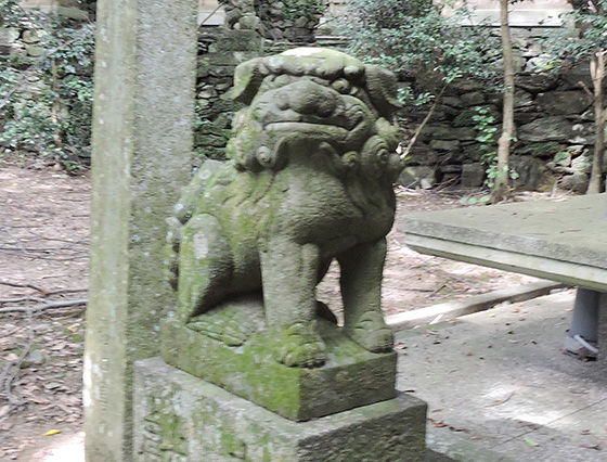 イメージ 8