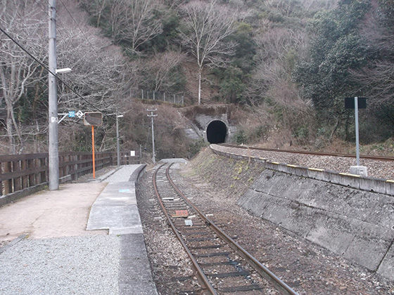 イメージ 8