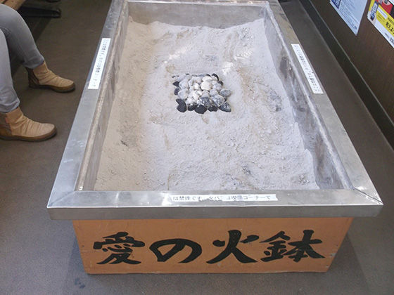 イメージ 10