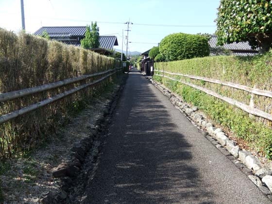 イメージ 7