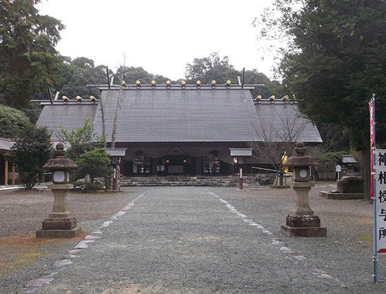 イメージ 8