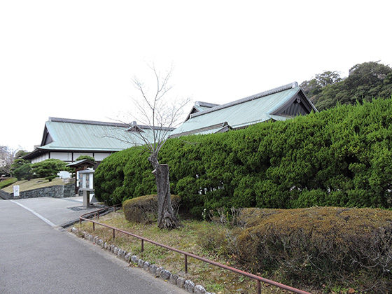 イメージ 1