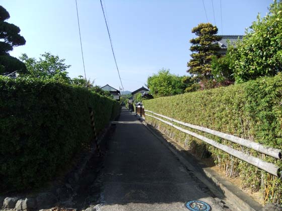 イメージ 8