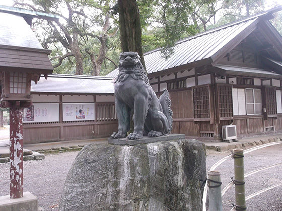 イメージ 6