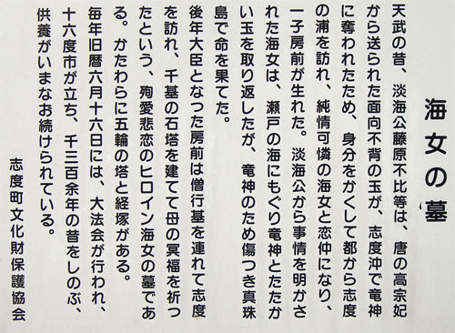 イメージ 5