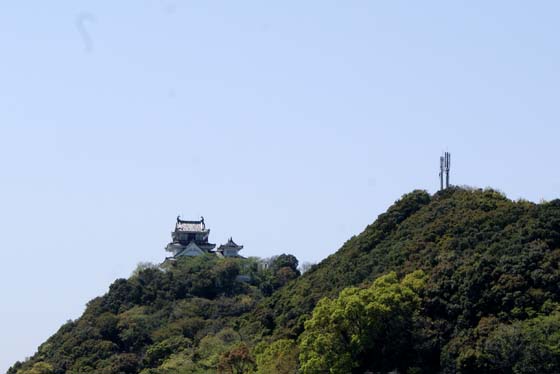 イメージ 1
