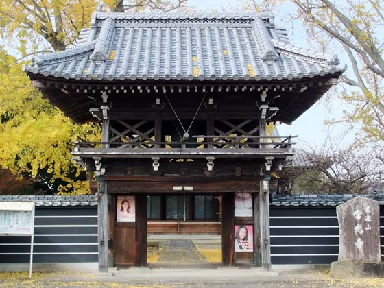 近世の讃岐真宗興正寺派 三木の常光寺の丸亀平野への教宣拡大ルート : 瀬戸の島から