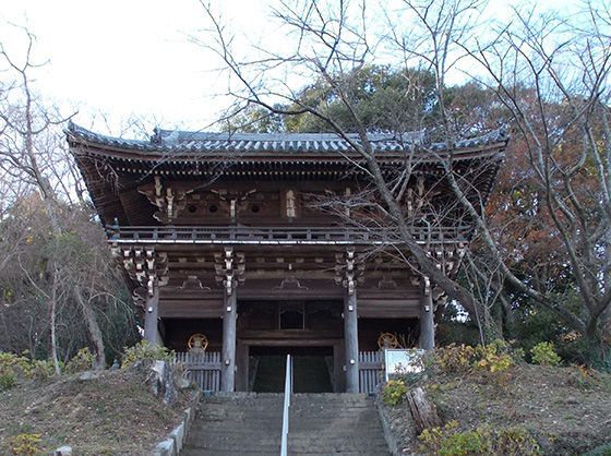 イメージ 6