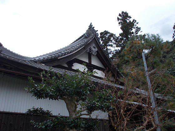 イメージ 10