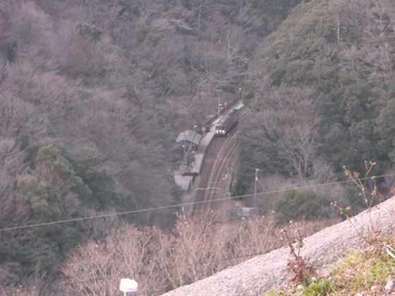 イメージ 13