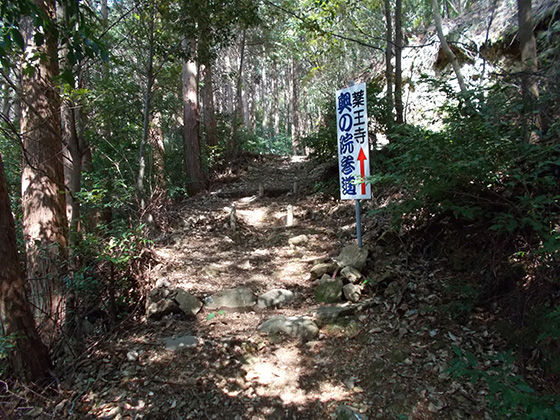 イメージ 5