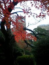 092120b0.jpg