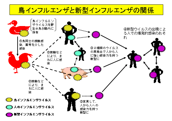 analytic