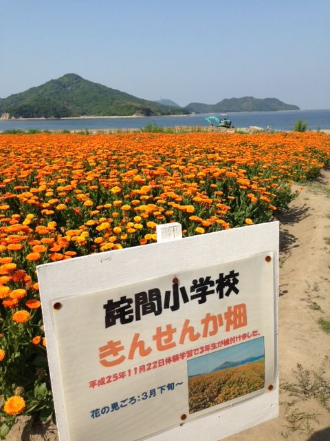 ¼Ì¿¿ (4)